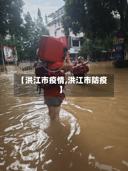 【洪江市疫情,洪江市防疫】