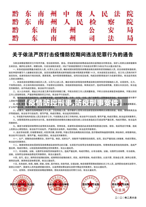 【疫情防控刑事,防疫刑事案件】-第2张图片