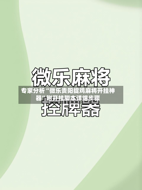 专家分析“微乐贵阳捉鸡麻将开挂神器	”附开挂脚本详细步骤-第2张图片