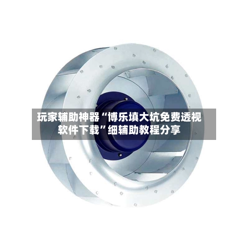 玩家辅助神器“博乐填大坑免费透视软件下载”细辅助教程分享-第3张图片