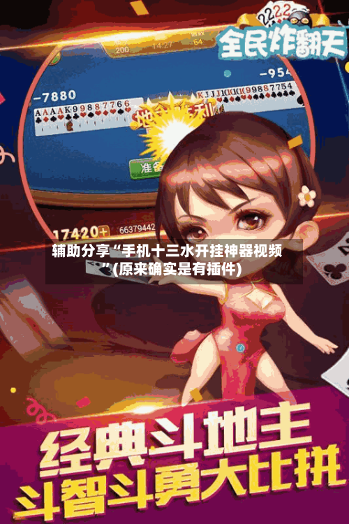 辅助分享“手机十三水开挂神器视频”(原来确实是有插件)-第3张图片