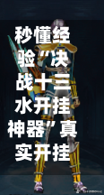 秒懂经验“决战十三水开挂神器”真实开挂技巧分享-第3张图片
