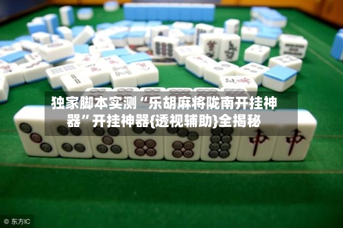 独家脚本实测“乐胡麻将陇南开挂神器”开挂神器{透视辅助}全揭秘-第2张图片