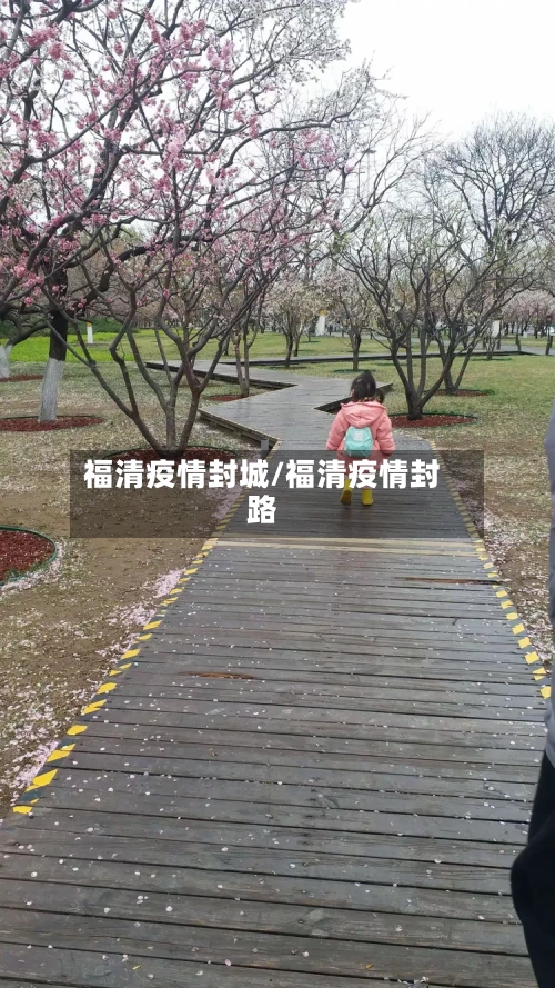 福清疫情封城/福清疫情封路