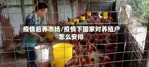 疫情后养市场/疫情下国家对养殖户怎么安排