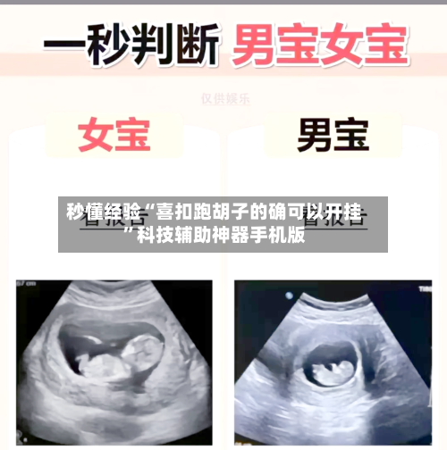 秒懂经验“喜扣跑胡子的确可以开挂”科技辅助神器手机版