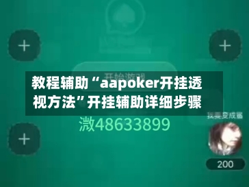 教程辅助“aapoker开挂透视方法”开挂辅助详细步骤-第3张图片
