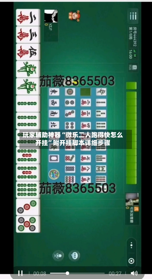 玩家辅助神器“微乐二人跑得快怎么开挂”附开挂脚本详细步骤-第3张图片