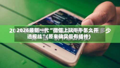 2026最新一代“微信上玩牛牛怎么开透视挂”(原来确实是有插件)-第2张图片