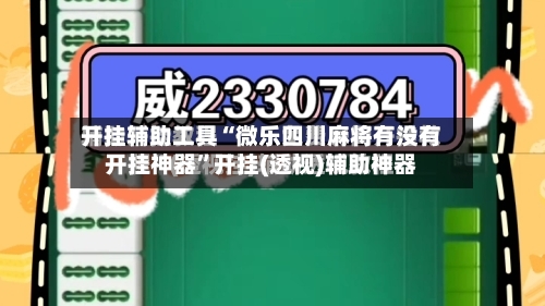 开挂辅助工具“微乐四川麻将有没有开挂神器”开挂(透视)辅助神器-第3张图片