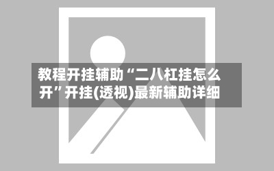 教程开挂辅助“二八杠挂怎么开”开挂(透视)最新辅助详细-第3张图片