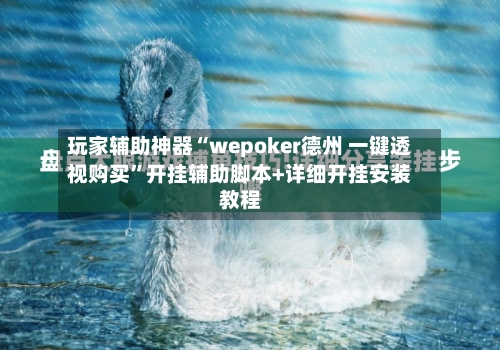 玩家辅助神器“wepoker德州 一键透视购买	”开挂辅助脚本+详细开挂安装教程-第2张图片