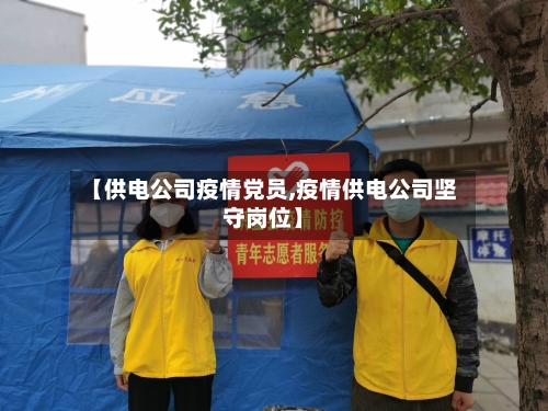 【供电公司疫情党员,疫情供电公司坚守岗位】