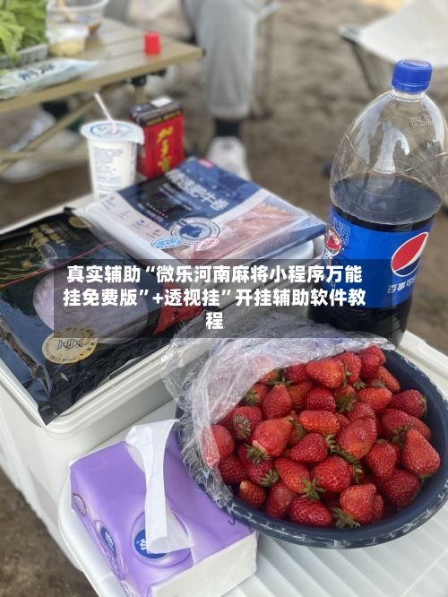 真实辅助“微乐河南麻将小程序万能挂免费版”+透视挂”开挂辅助软件教程