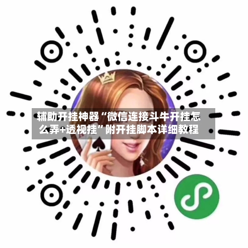 辅助开挂神器“微信连接斗牛开挂怎么弄+透视挂”附开挂脚本详细教程