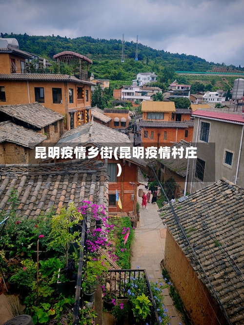 昆明疫情乡街(昆明疫情村庄)