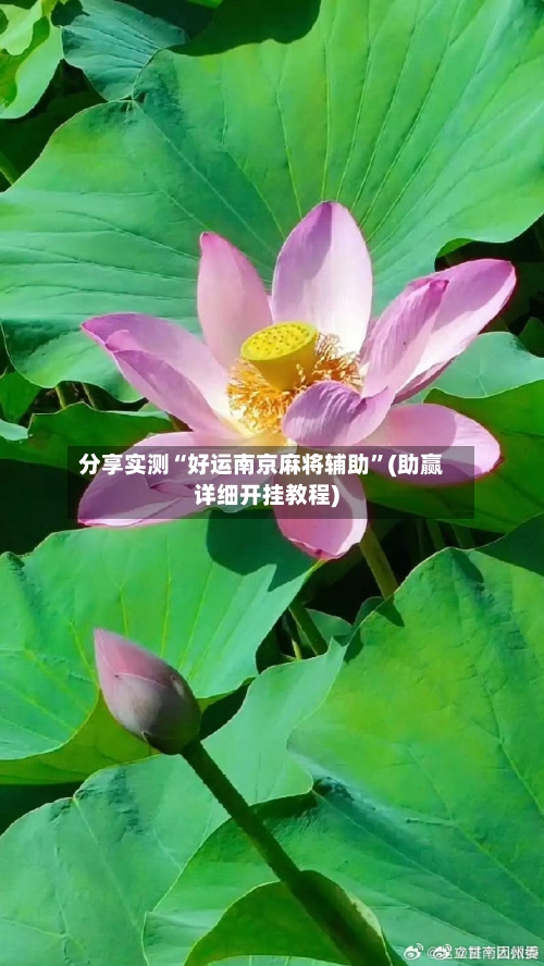 分享实测“好运南京麻将辅助”(助赢详细开挂教程)-第2张图片