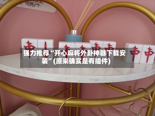 强力推荐“开心麻将外卦神器下载安装”(原来确实是有插件)-第2张图片