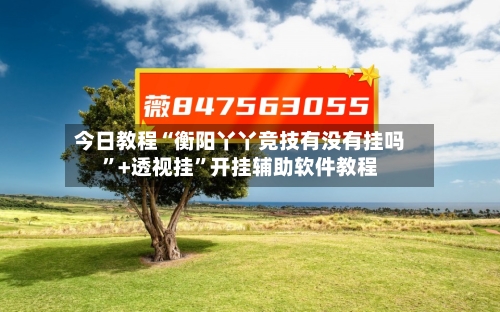 今日教程“衡阳丫丫竞技有没有挂吗	”+透视挂”开挂辅助软件教程-第2张图片