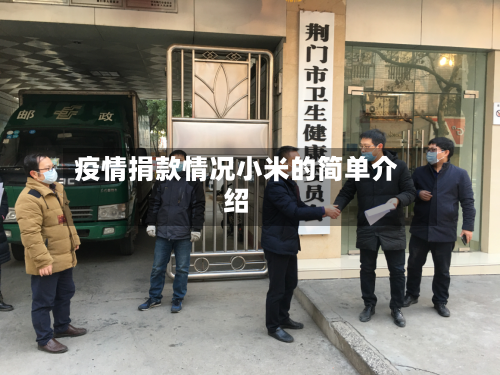 疫情捐款情况小米的简单介绍-第2张图片