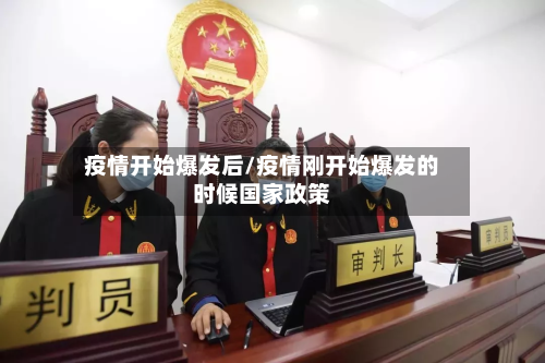 疫情开始爆发后/疫情刚开始爆发的时候国家政策
