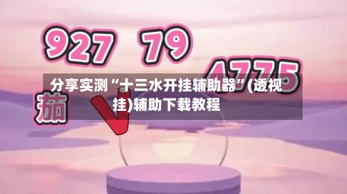 分享实测“十三水开挂辅助器”(透视挂)辅助下载教程-第3张图片