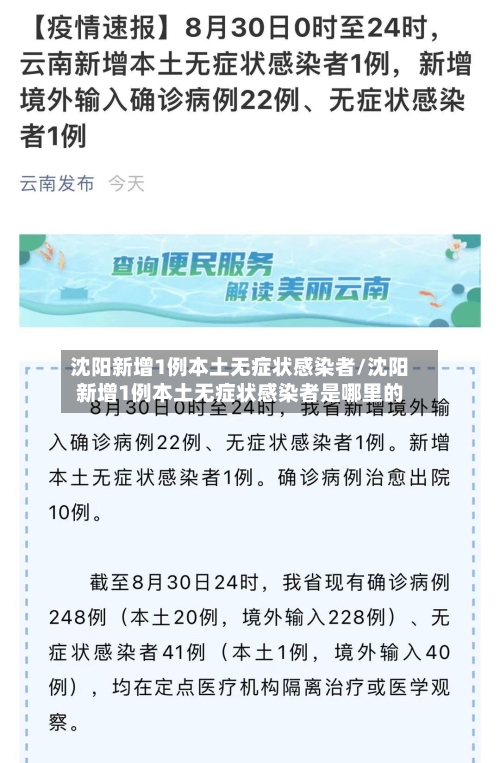 沈阳新增1例本土无症状感染者/沈阳新增1例本土无症状感染者是哪里的