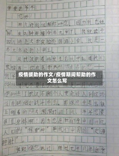 疫情援助的作文/疫情期间帮助的作文怎么写-第3张图片
