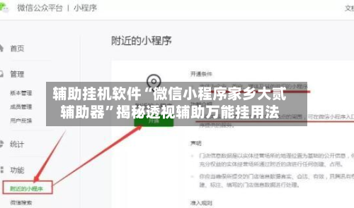 辅助挂机软件“微信小程序家乡大贰辅助器”揭秘透视辅助万能挂用法-第3张图片