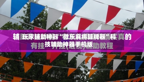 玩家辅助神器“微乐麻将算牌器”科技辅助神器手机版-第2张图片