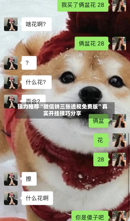 强力推荐“微信拼三张透视免费版”真实开挂技巧分享-第2张图片