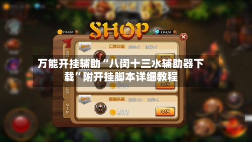 万能开挂辅助“八闵十三水辅助器下载”附开挂脚本详细教程-第3张图片