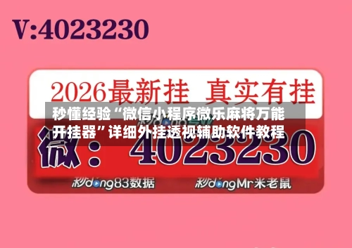 秒懂经验“微信小程序微乐麻将万能开挂器”详细外挂透视辅助软件教程-第3张图片