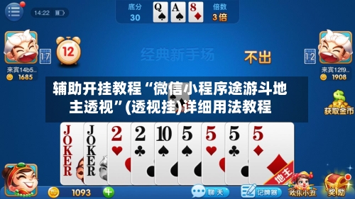 辅助开挂教程“微信小程序途游斗地主透视	”(透视挂)详细用法教程-第2张图片