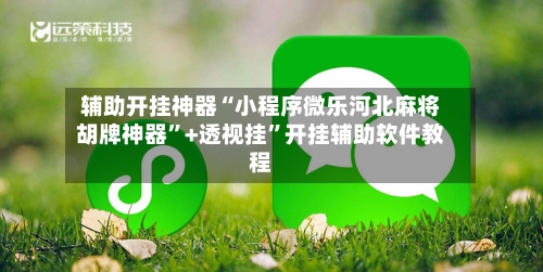 辅助开挂神器“小程序微乐河北麻将胡牌神器”+透视挂”开挂辅助软件教程-第2张图片