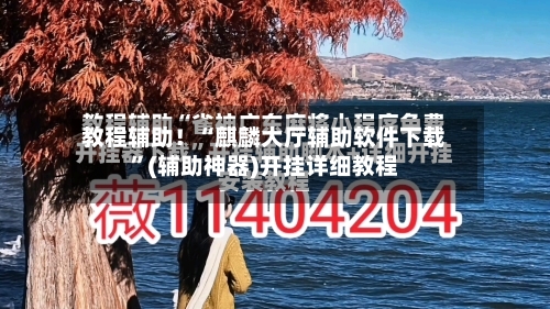 教程辅助！“麒麟大厅辅助软件下载	”(辅助神器)开挂详细教程-第2张图片