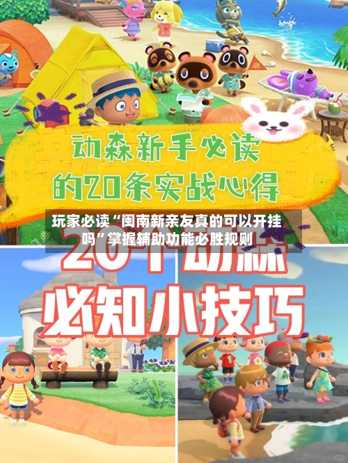 玩家必读“闽南新亲友真的可以开挂吗	”掌握辅助功能必胜规则-第2张图片