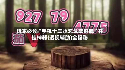 玩家必读“手机十三水怎么拿好牌”开挂神器{透视辅助}全揭秘-第2张图片