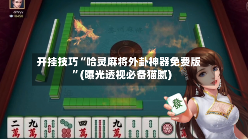 开挂技巧“哈灵麻将外卦神器免费版	”(曝光透视必备猫腻)-第2张图片