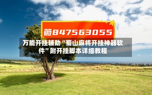 万能开挂辅助“蜀山麻将开挂神器软件”附开挂脚本详细教程-第2张图片