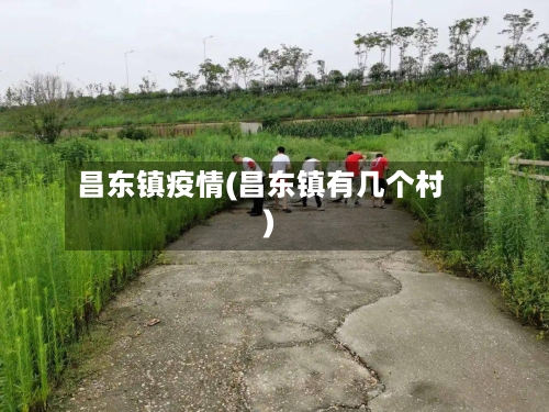 昌东镇疫情(昌东镇有几个村)