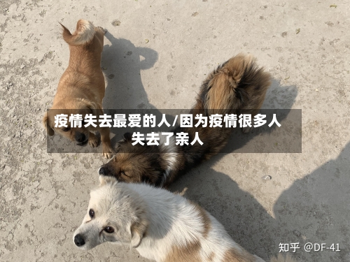 疫情失去最爱的人/因为疫情很多人失去了亲人-第2张图片