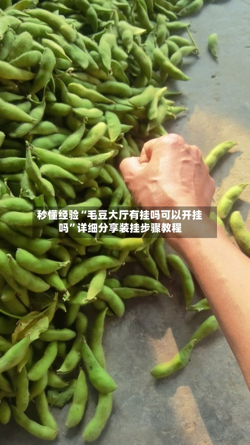 秒懂经验“毛豆大厅有挂吗可以开挂吗”详细分享装挂步骤教程