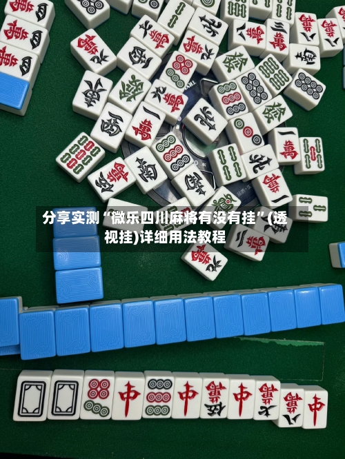 分享实测“微乐四川麻将有没有挂”(透视挂)详细用法教程-第2张图片