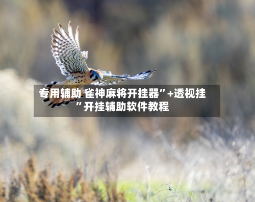 专用辅助 雀神麻将开挂器”+透视挂”开挂辅助软件教程