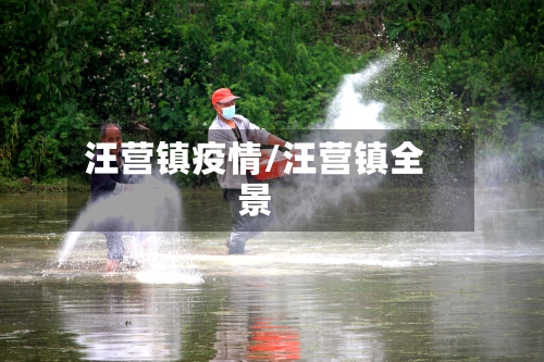 汪营镇疫情/汪营镇全景-第3张图片
