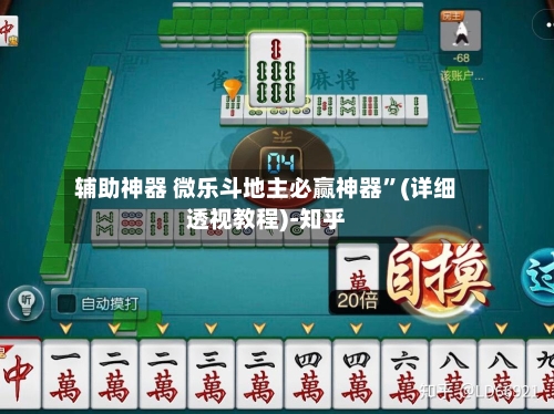 辅助神器 微乐斗地主必赢神器”(详细透视教程)-知乎-第2张图片