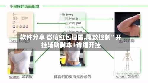 软件分享 微信红包埋雷,尾数控制”开挂辅助脚本+详细开挂-第3张图片