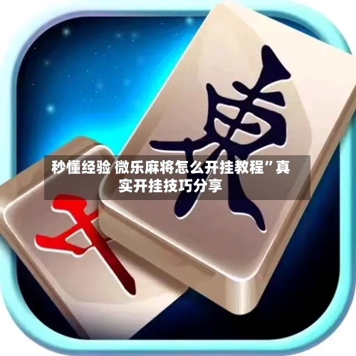 秒懂经验 微乐麻将怎么开挂教程”真实开挂技巧分享
