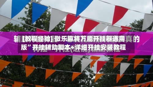 [教程经验] 微乐麻将万能开挂器通用版”开挂辅助脚本+详细开挂安装教程-第3张图片